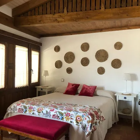 La Casa Del Coso *